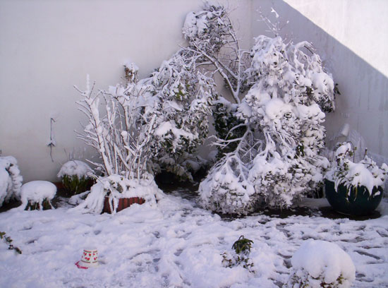 Imagen 047