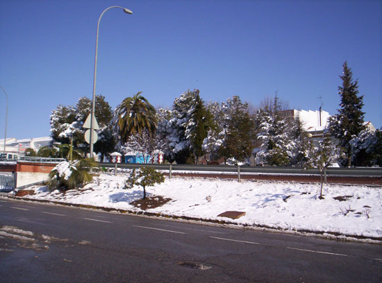 Imagen 065
