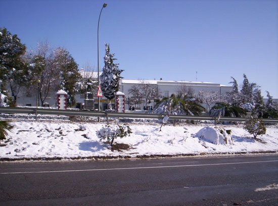 Imagen 066