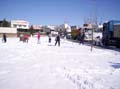 Imagen 062