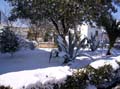 Imagen 063