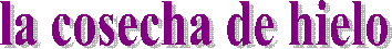 Festival Folkl�rico Internacional