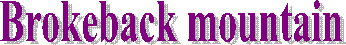 Festival Folkl�rico Internacional