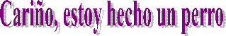 Festival Folkl�rico Internacional