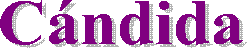Festival Folkl�rico Internacional