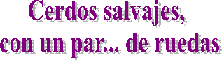 Festival Folkl�rico Internacional