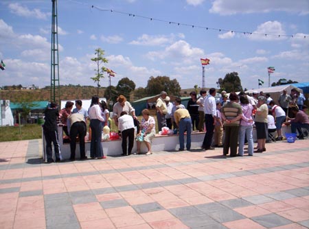 11-concursantes