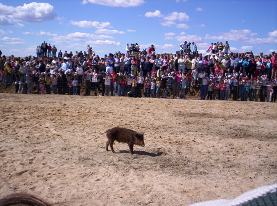 Imagen 165