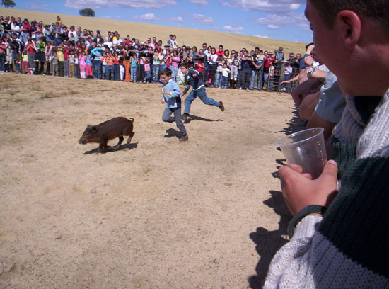 Imagen 169