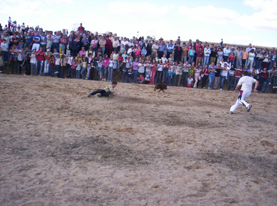 Imagen 172