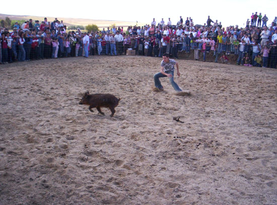 Imagen 173