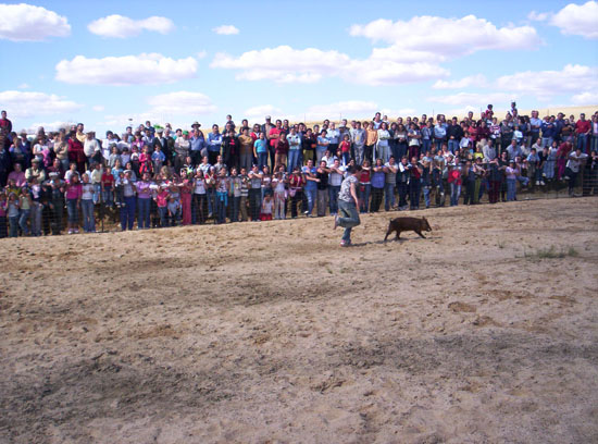 Imagen 174
