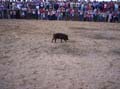 Imagen 161