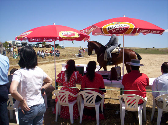 Imagen 003-1