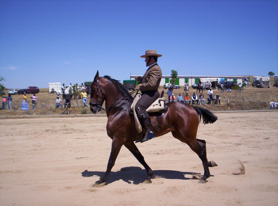 Imagen 003-3