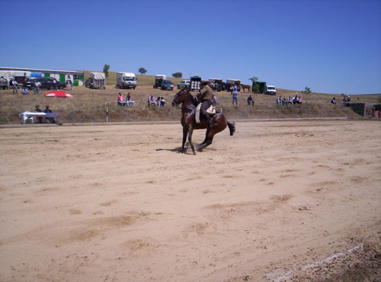 Imagen 007