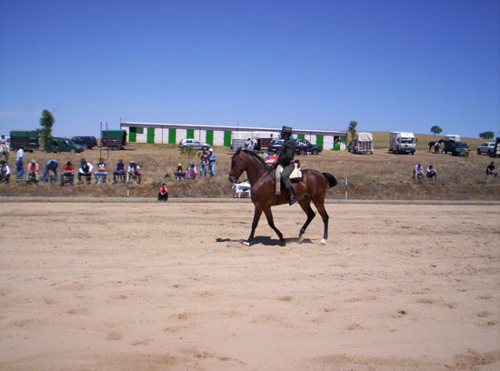 Imagen 010
