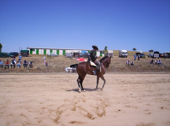 Imagen 013