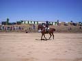 Imagen 010
