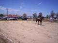 Imagen 011