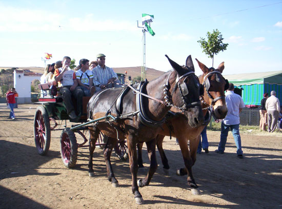 Imagen 071