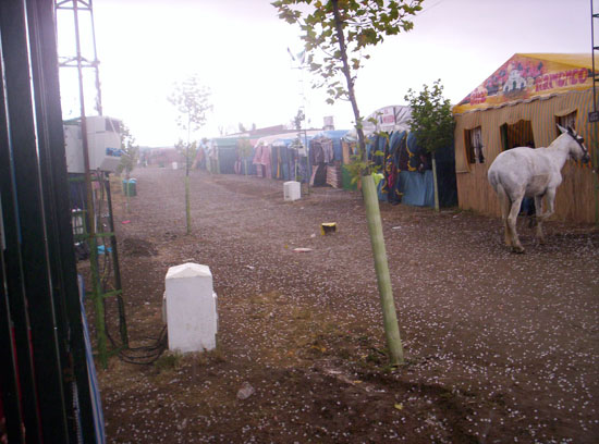 Imagen 136