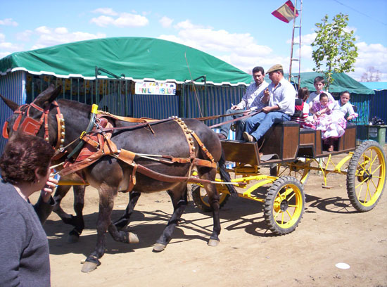Imagen 155