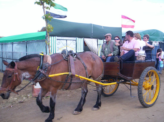 Imagen 158