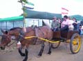 Imagen 158